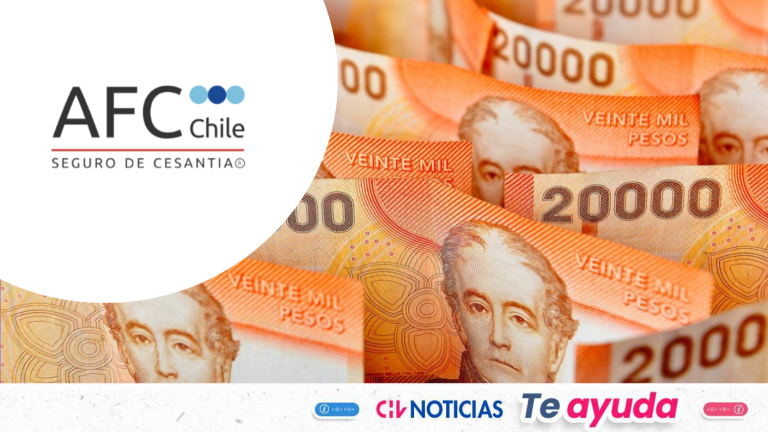 ¿Quieres cobrar el Seguro de Cesantía? Revisa el saldo en la AFC con tu RUT