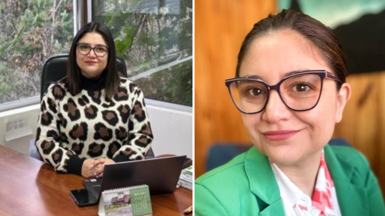 Renuncia seremi de Energía de Aysén tras polémicos mensajes en redes: Estuvo un día en el cargo