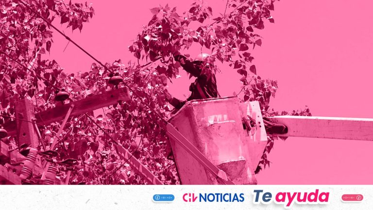 Enel informa corte de luz en 7 comunas de Santiago este jueves 14: Revisa sectores y horarios