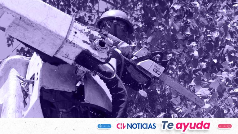 Enel da a conocer las 10 comunas de Santiago afectadas por corte de luz para el martes 19