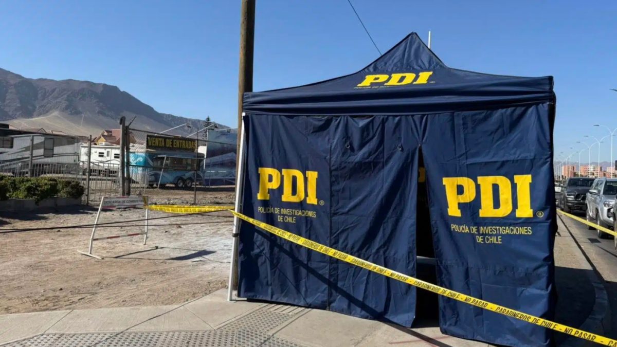 Tragedia en Antofagasta: Mujer y su mascota mueren electrocutadas por ...