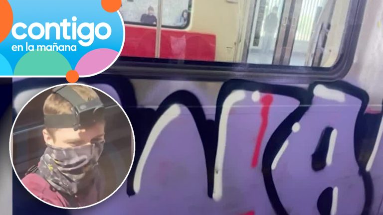 Grafiteros detuvieron el Metro y lo rayaron a plena luz del día: Sujetos se dieron a la fuga