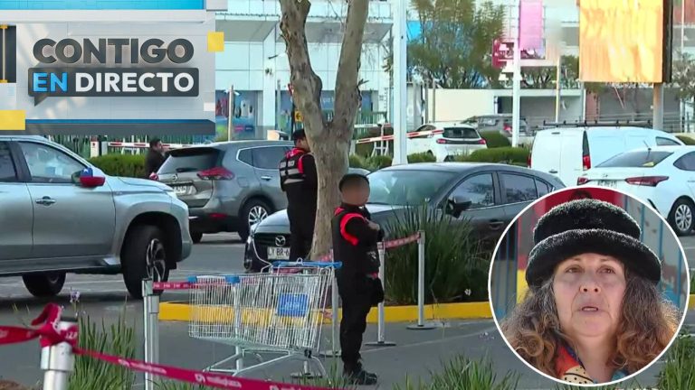 “Apareció de la nada”: El dato clave de madre de joven fallecido en Mall de La Florida tras ser reducido por guardias