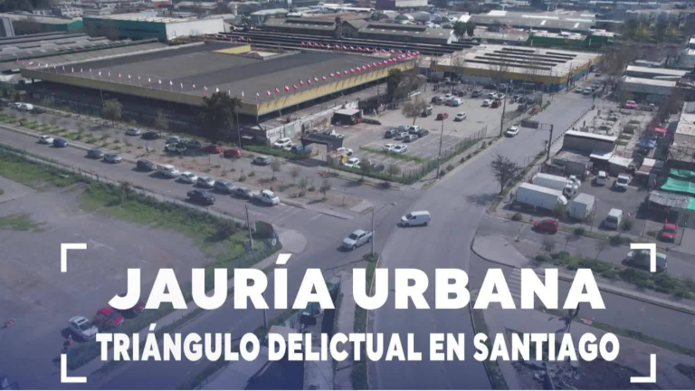 Jauría urbana: Así operan delincuentes con masivos robos en tres comunas de Santiago