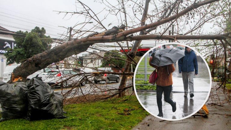 Un intenso sistema frontal dejó árboles caídos, calles anegadas y hasta granizos en algunas zonas de Santiago