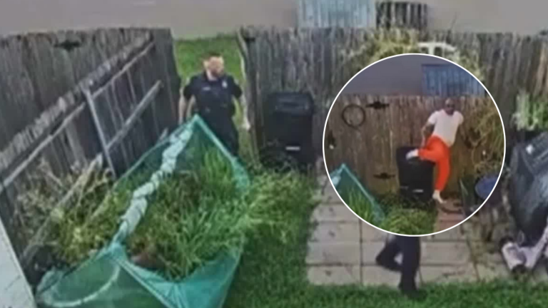 VIDEO | Reo se fuga de custodia policial y es sorprendido dentro de un basurero