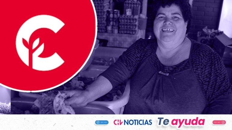 La colecta solidaria de Fundación Crecer que busca financiar proyectos de emprendedores: Así puedes donar