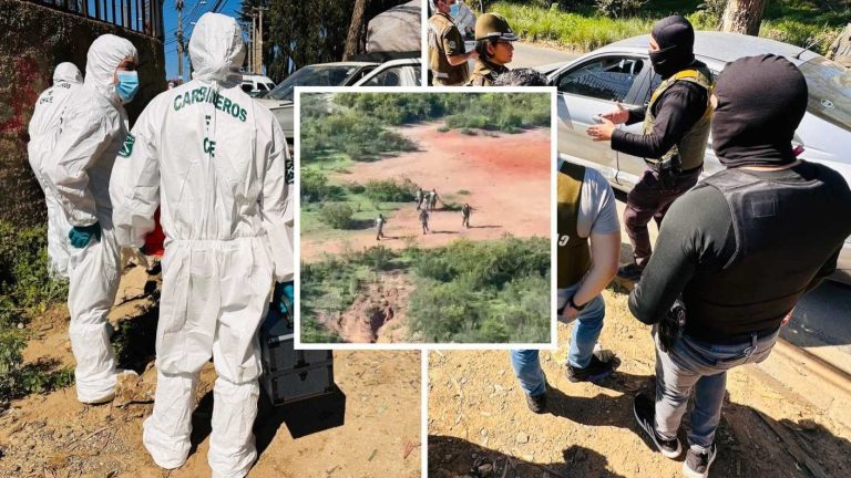 VIDEO | Intentó atropellar a carabineros, se fugó y escondió en matorrales: Así fue su cinematográfica captura