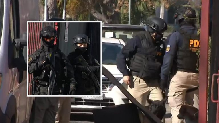 Iban a actuar en Fiestas Patrias: Lo que destapó el operativo antidrogas contra clan familiar en Peñaflor