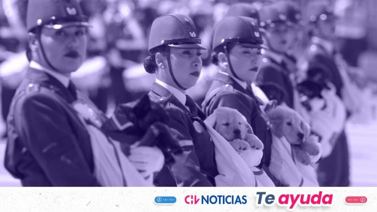 Parada Militar 2025: Así puedes ver el evento en vivo por Chilevisión