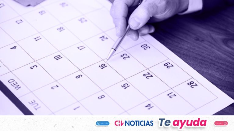 ¿Cuándo es el próximo feriado? Todos los fin de semana largo que quedan para este 2025
