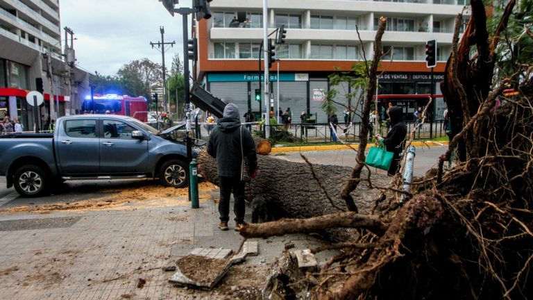 VIDEO | Casi aplasta a peatones: Registro muestra el momento exacto en que árbol cae sobre camioneta en Ñuñoa