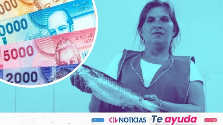 Mujeres trabajadoras podrán recibir hasta $44.000: Revisa con tu RUT si cumples los requisitos