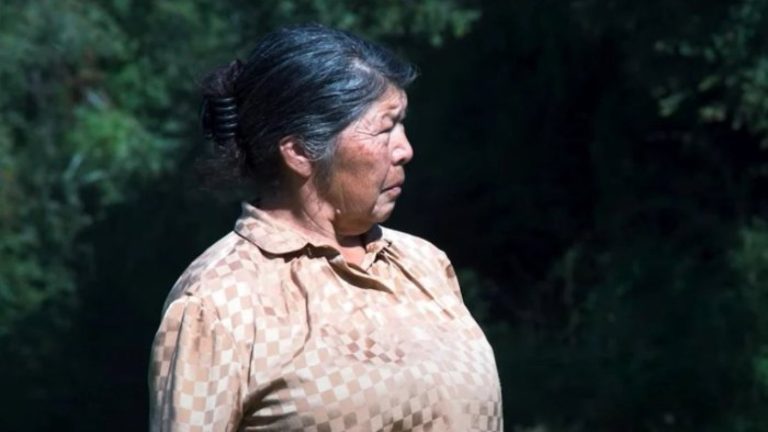 Abogadas dieron revelación clave: Sospechoso habría confesado que Julia Chuñil fue quemada