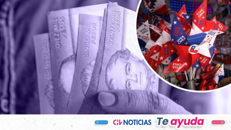 Beneficios en septiembre: Revisa con tu RUT si tienes bonos y aportes del IPS sin cobrar