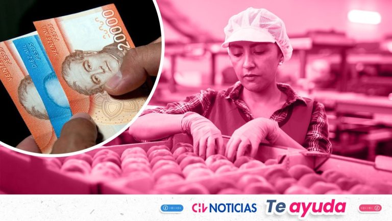 Mujeres pueden obtener bono de hasta $44.157 en septiembre: Conoce los requisitos y cuándo pagan