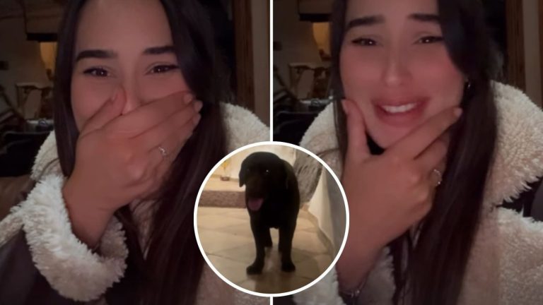 “Nos salvó la vida”: Melina Noto vivió momentos de terror en la casa y perro de Pangal jugó rol clave