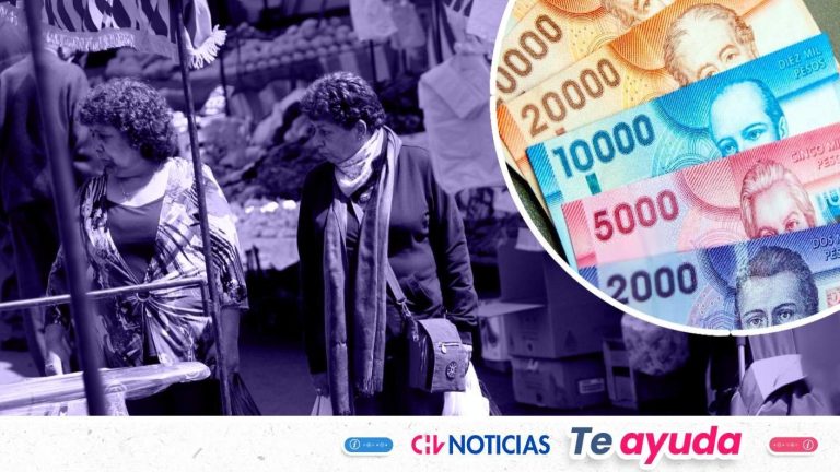 Bono Dueña de Casa entrega pago automático de $452 mil: Revisa con tu RUT si cumples los requisitos