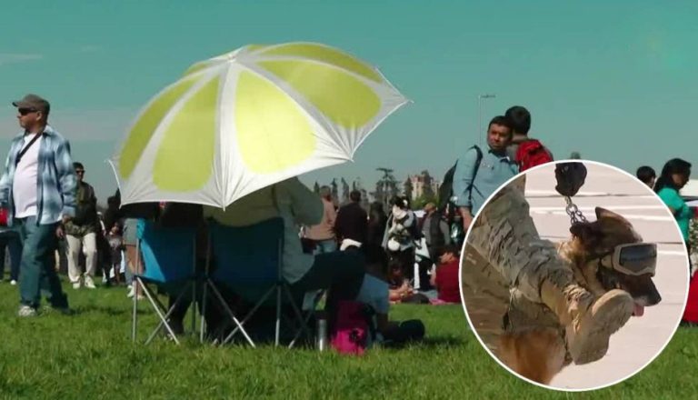 El lado B de la Parada Militar 2025: Miles de asistentes y los nuevos cachorros que se integran