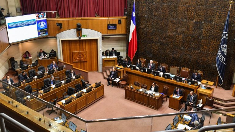 Senado aprobó el proyecto que sanciona con multa a quienes no asistan a votar