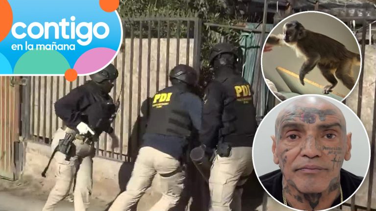 Coordinaba desde la cárcel y tenía mono de mascota: ¿Quién es el líder del clan “Bustos Martínez”?