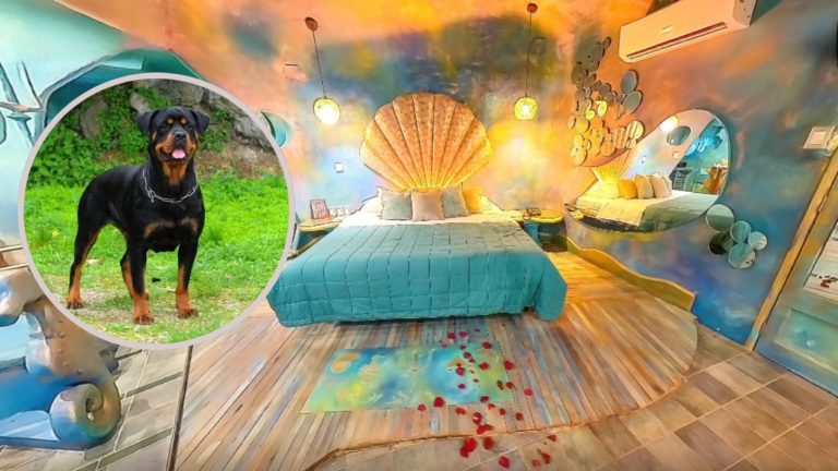 Motel de Quintero debe pagar $40 millones a joven que fue mordido por tres perros cuando abandonaba el recinto