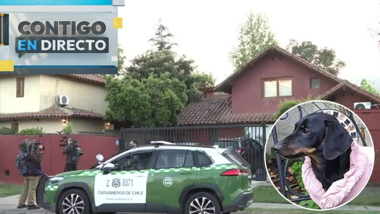 El llamado de familia que sufrió turbazo en Huechuraba para encontrar a su perrita: “Gracias a ella...”