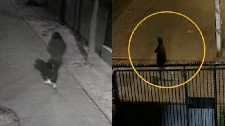 Nuevo antecedente tras revisión de cámaras: ¿Alguien simuló ser Krishna Aguilera?