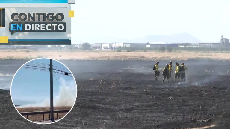 Incendio cercano a humedal movilizó a Bomberos y Conaf en Quilicura: Llamas se originaron en descampado