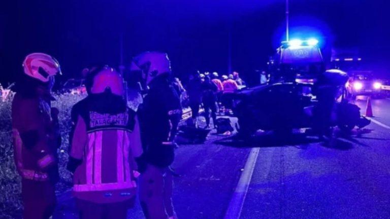 Conductor poseía tobillera: Dos niños de 6 y 10 años murieron tras choque en la Ruta 78