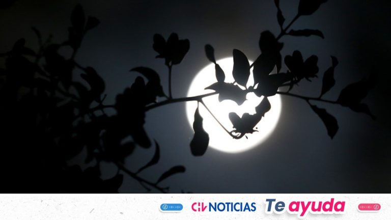 Cuándo y a qué hora ver la SUPERLUNA de octubre en Chile: Es la más brillante de los últimos años