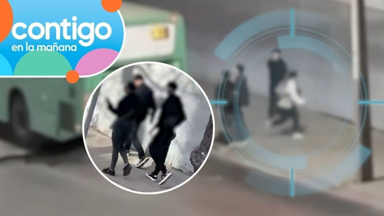 No tendrían más de 12 años: Menores roban a la salida del Metro y en paraderos del Barrio Franklin