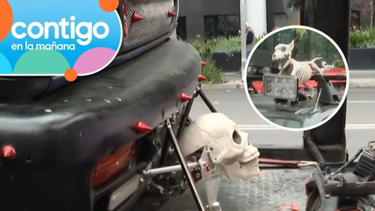 Una fiscalización “del terror”: Chofer indignado porque se llevaron su auto modificado por Halloween