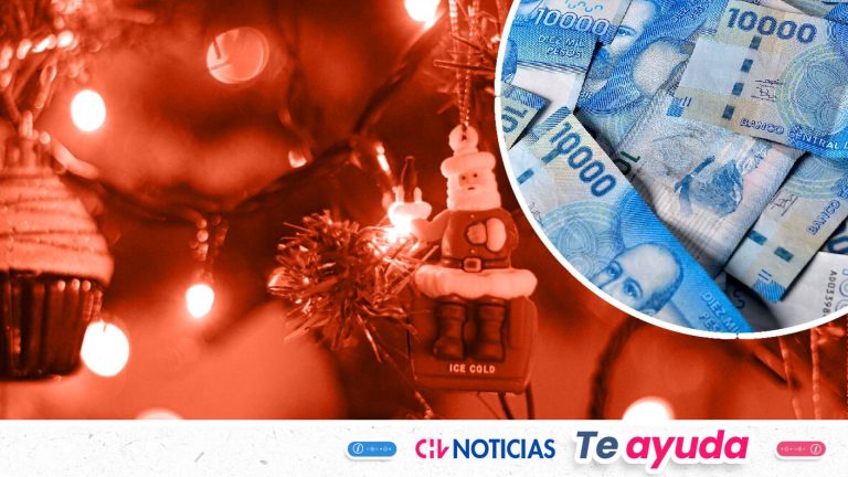 Aguinaldo de Navidad: Consulta con tu RUT si recibes el aporte en dinero