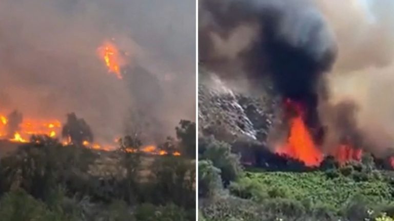 Incendio forestal en Monte Patria: Hay tres viviendas afectadas y se mantiene alerta roja