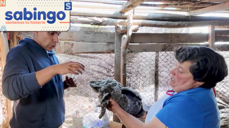 Raíces campesinas: JP Queraltó experimentó la divertida pillería de Clarencia Ramírez en Coinco