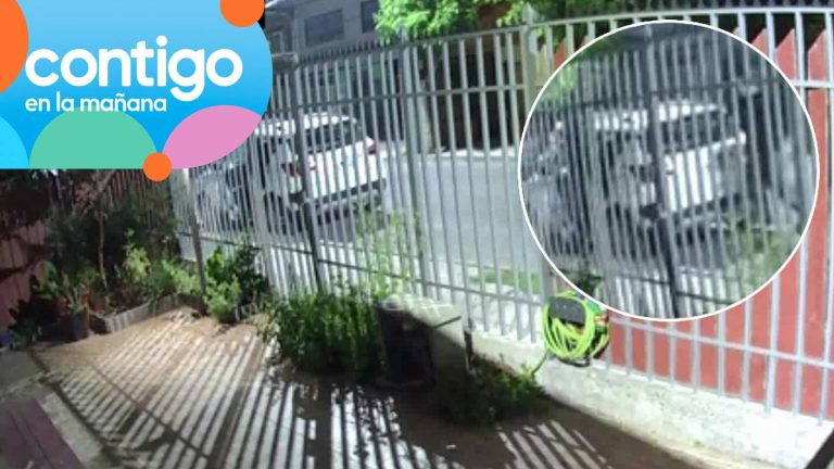 Violento robo a familia de Puente Alto: Encañonaron a dos niños y otro se “protegió” haciéndose el dormido