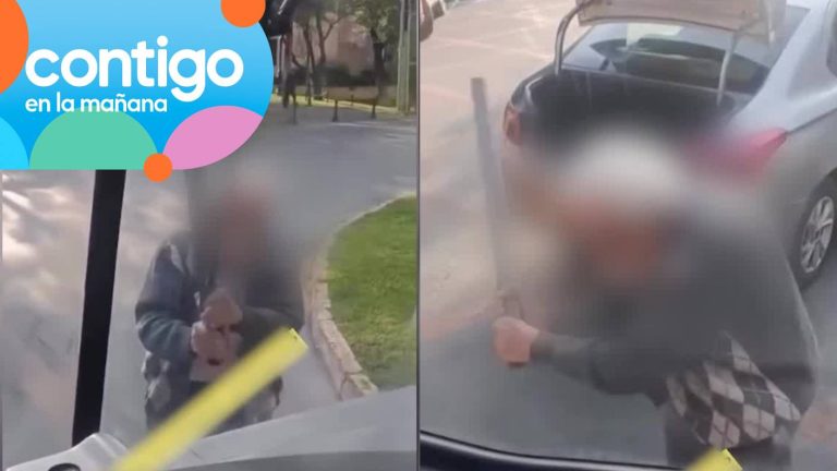 Sacó un fierro y golpeó bus RED: El día de furia de adulto mayor de 81 años tras conflicto vial
