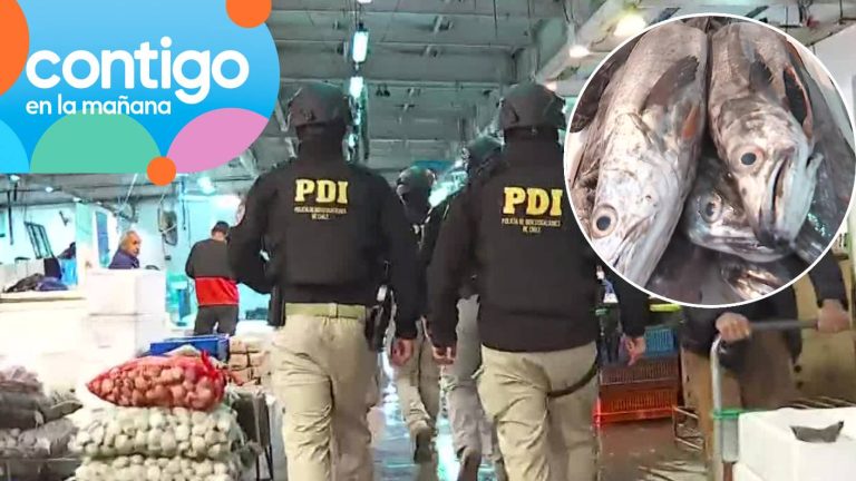 Operativo PDI dejó 20 detenidos por robo de toneladas de salmón en Terminal Pesquero de Santiago