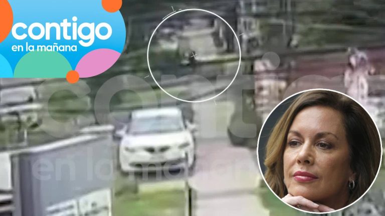 EXCLUSIVO | Las imágenes de Yuyuniz Navas el día del asesinato en La Reina: Habría estado en casa contigua