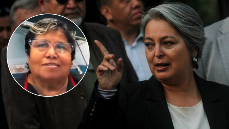 Falsa prima de Jeannette Jara se disculpa tras anuncio de querella: “Era hacer humor”