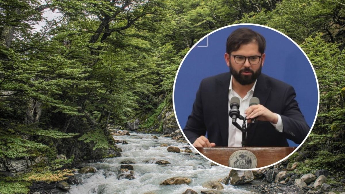 Pdte. Boric tras tragedia en Torres del Paine: “Cuentan con toda la ...