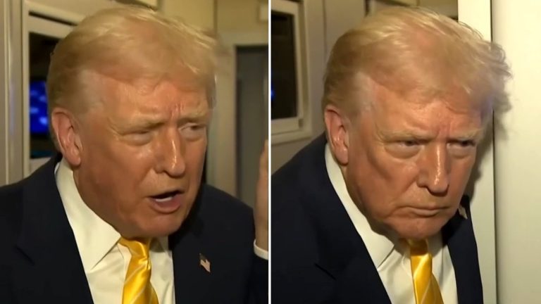 “¡Cállate, cerdita!”: La respuesta de Donald Trump a periodista que le preguntó por Jeffrey Epstein