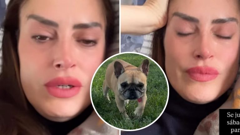 “Jamás me perdonaré...”: Adriana Barrientos hizo mea culpa por muerte de Asia y rompió en llanto