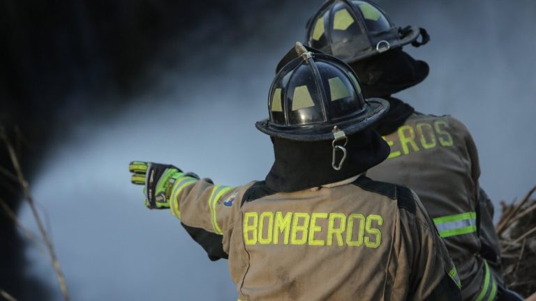 Alerta roja por incendio forestal: Senapred solicita evacuar sector de Laguna Verde en Valparaíso