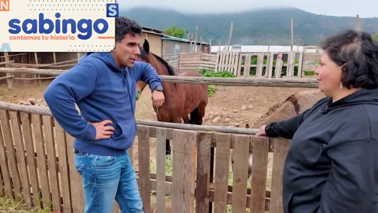 Raíces campesinas: JP Queraltó trabajó de buena gana en Hijuelas con Jidith Brito, La Bebita