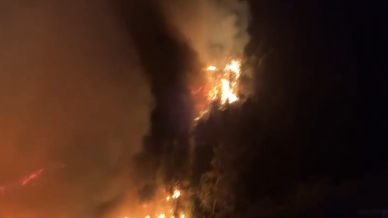 Alerta Roja en Valparaíso por incendio forestal: Senapred ordena evacuación vía SAE