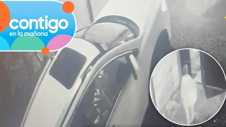 ¿No iba conduciendo? Revelan nuevo registro de María Ignacia González momentos antes de desaparecer