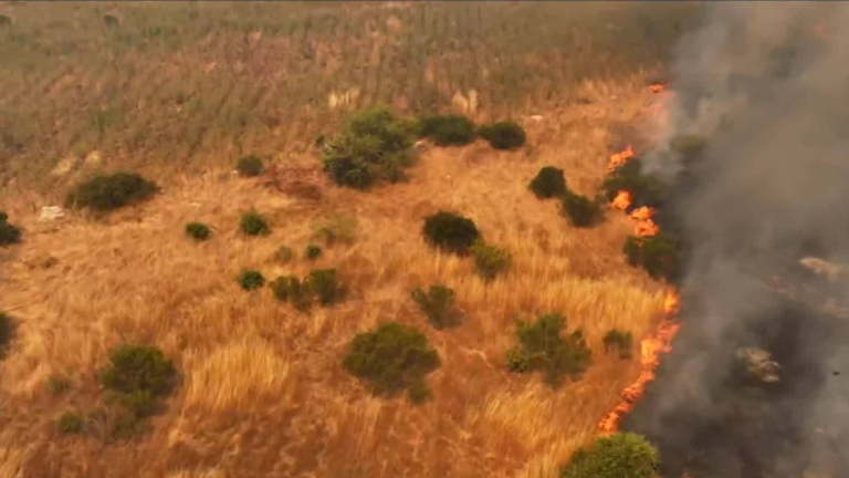 Senapred emite alerta roja y solicita evacuar sectores de San Pedro de Melipilla por incendio forestal