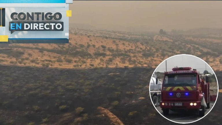 Incendio forestal en Melipilla consumió 1.667 hectáreas: Arrasó con casas y sigue el peligro de propagación